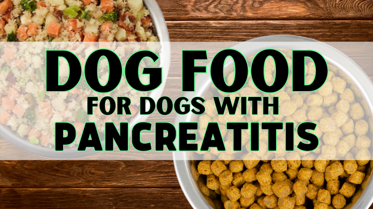 is brown rice good for dogs with pancreatitis